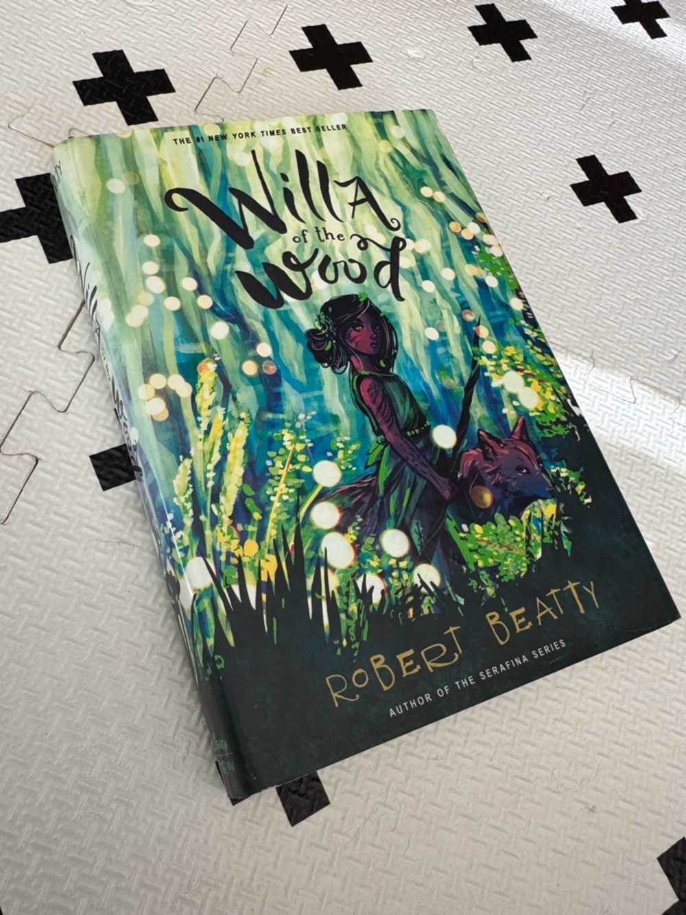 Willa of the Wood, teen girl novel